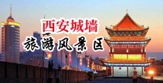 美女被日的网站在线观看中国陕西-西安城墙旅游风景区
