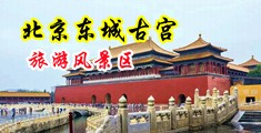 日屄视频下载操中国北京-东城古宫旅游风景区